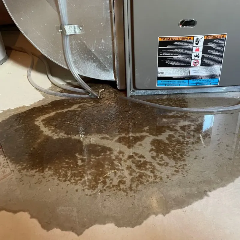 Pipe Burst and Leak Restoration in Brownstown, IN
