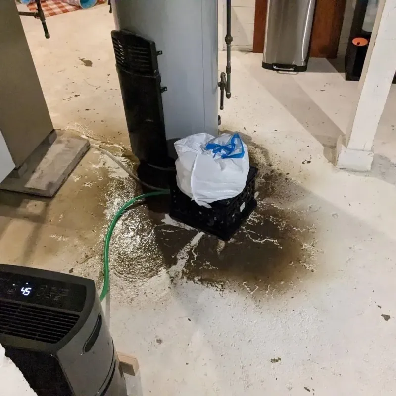 Sewage Backup Cleanup Service in Brownstown, IN